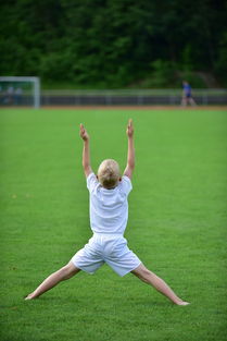 爱游戏体育(AYX)官方APP下载-高校体育专业课程体系动态调整研究,全国普通高校体育教育专业课程方案