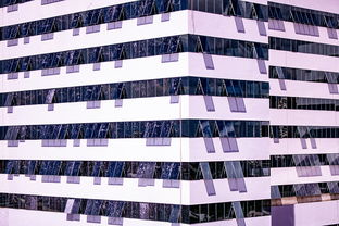 爱游戏电竞官网-高校体育赛事风险预警体系建设与管理实践,体育赛事风险及防范措施