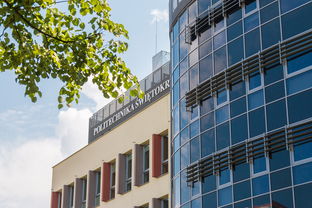 爱游戏电竞官网-高校体育赛事风险预警体系建设与管理实践,体育赛事风险及防范措施