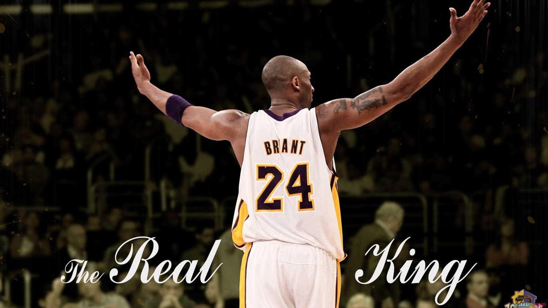 《英雄联盟》S赛与《DOTA2》Ti赛事谁更受全球瞩目？，lol vs dota2